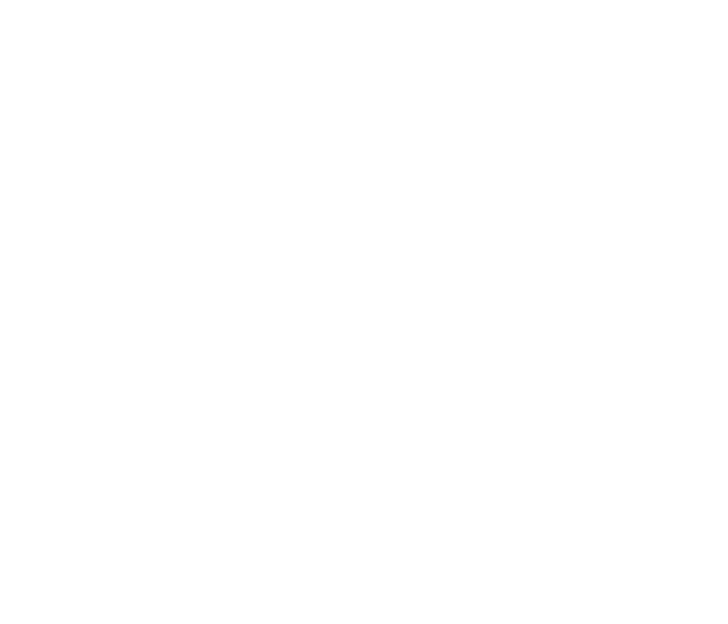 Formant Audio Icon